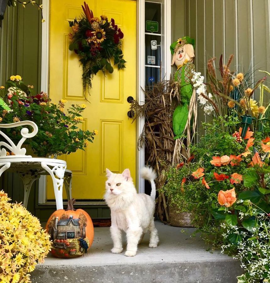 Yellow Door Bed And Breakfast Fort Erie Eksteriør billede